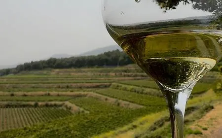 A ViniMilo la grande cena di beneficenza per Save the Children. Protagonisti Ugo Alciati (una Stelle Michelin) e Lina Castorina (Chiocciole Slow Food)