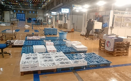 Viaggio al Maas di Catania, ortofrutta e pesce fresco ai privati: esperimento che piace ma con riserva