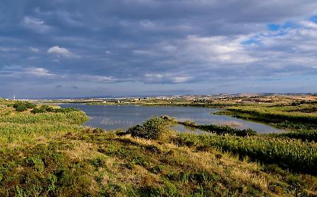 Riserva Biviere di Gela: questa volta si bonifica davvero o sar&agrave; l'ennesimo bluff?