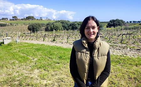 Vino con meno alcol? In Sicilia c&rsquo;&egrave; chi lo fa gi&agrave; e non &egrave; pi&ugrave; un tab&ugrave;, il primo esperimento nel Sud Est