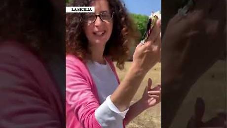 Teresa Mannino: "Vi porto a Piazza Magione, dove crebbero Falcone e Borsellino, un luogo simbolo, ma trascurato"