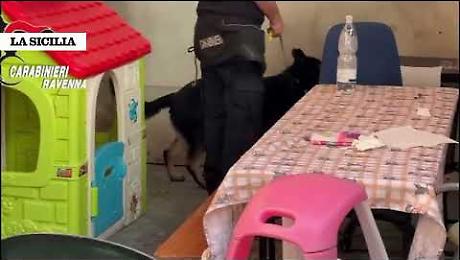 Catanesi "trasfertisti" per una rapina in banca nel Ravennate: arrestati insieme ad altri due complici