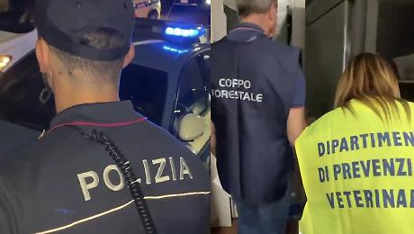 Lavoro nero, poca sicurezza e 32 kg di prodotti non tracciati: maxi sanzioni per due locali a Catania