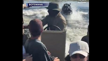 Terrore in Botswana: l&rsquo;ippopotamo insegue la barca a pochi metri