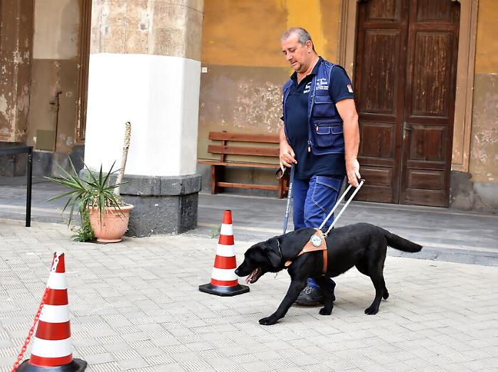 foto Orietta Scardino