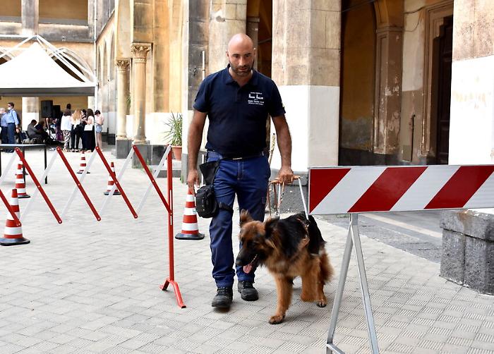 foto Orietta Scardino