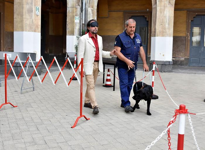 foto Orietta Scardino