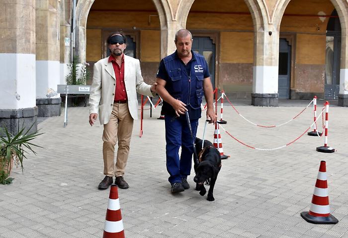 foto Orietta Scardino