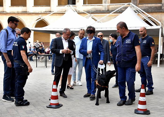 foto Orietta Scardino