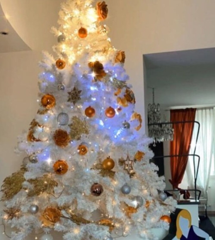 L'albero di Natale di Simona Ventura