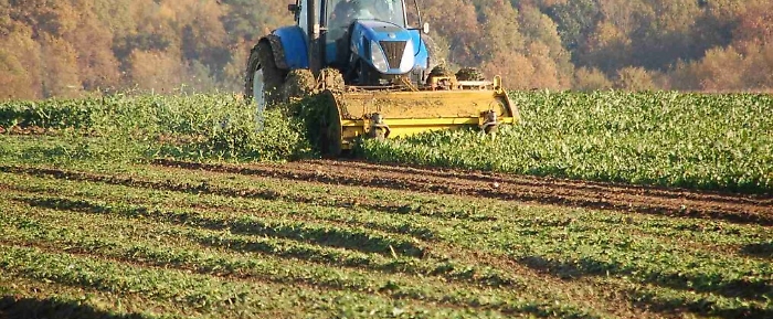 1518264116363_1518264127_1618701102094-1