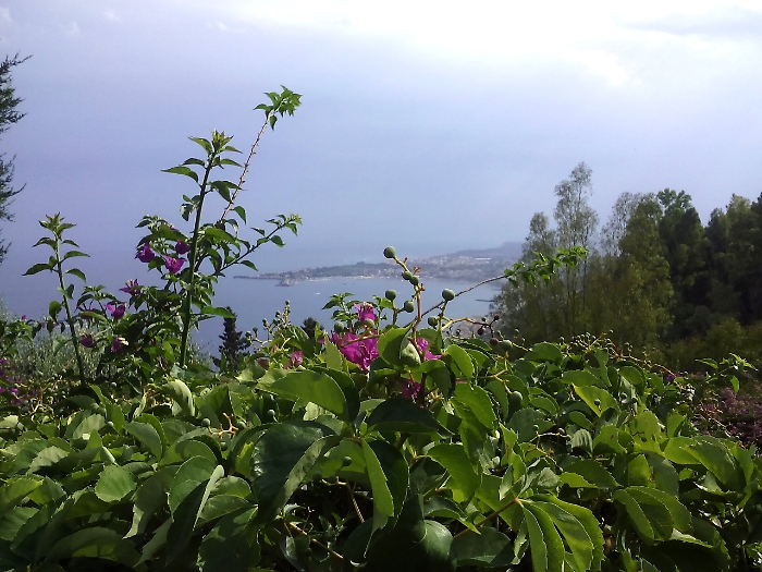 Mese Febbraio - Taormina (ME)