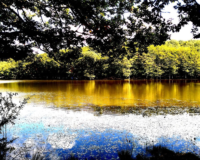 Mese Aprile - Cesar&ograve; (ME)