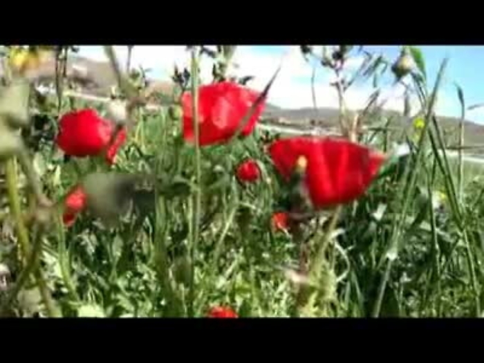 10193231-VID-20200330-WA0003mp4_1620377455198