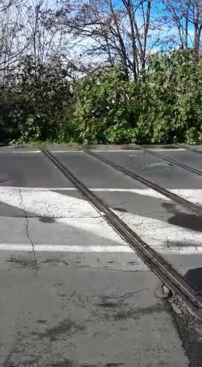 10349053-sangiuseppelarenarotaiemp4_1620408433516