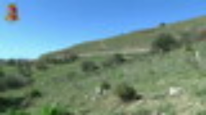 10774761-d13ad3f136e4d805262dfaa59f1d9b75mp4_1620378439762