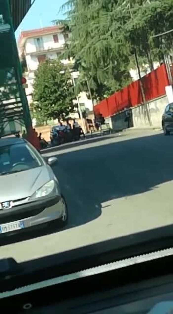 11262668-25-08-giarremp4_1620411877017