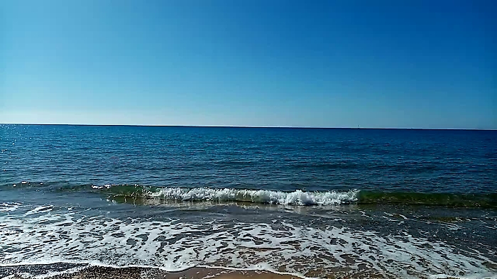 119186026-VID_20201101_1208143gp_1620402505046