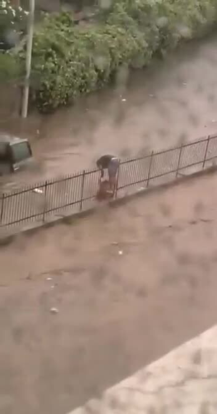 1303737-brunelmp4_1620405065311