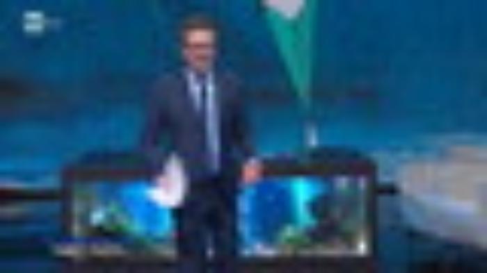 14621258-506f0f757fc474042ac8bdf166cf6ceemp4_1620404809542