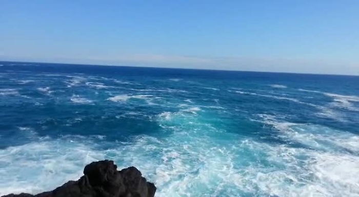 15056314-WhatsAppVideo2018-11-18at183136mp4_1620379987908