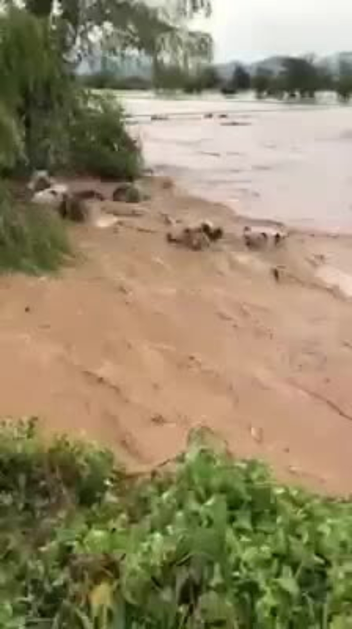 1551011-senegalmp4_1620381124565