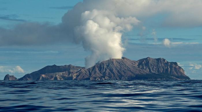 1575877747914_1620395972175