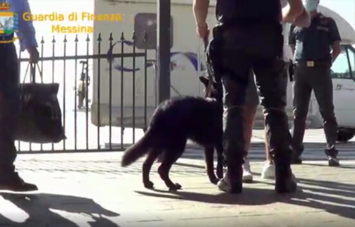 1596609627452_1620387365818