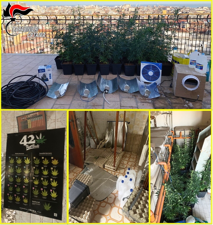 1613052447199_1620383294849