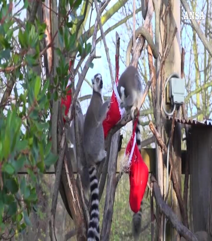 19428804-m20191217123253119mp4_1620384894967