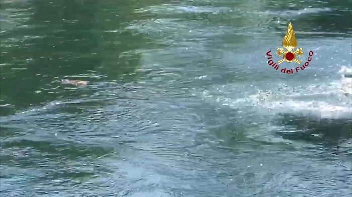 19645503-vigilidelfuocoricciomp4_1620393352229