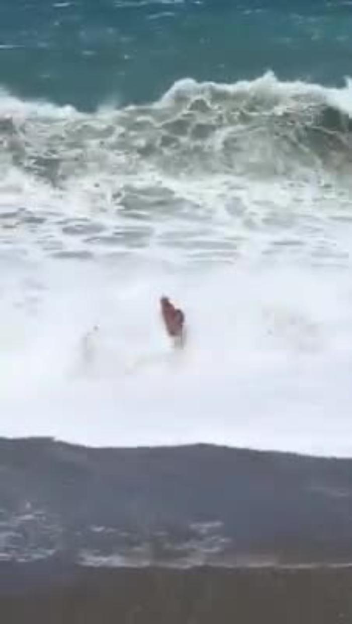 1967407-salvamp4_1620387254184