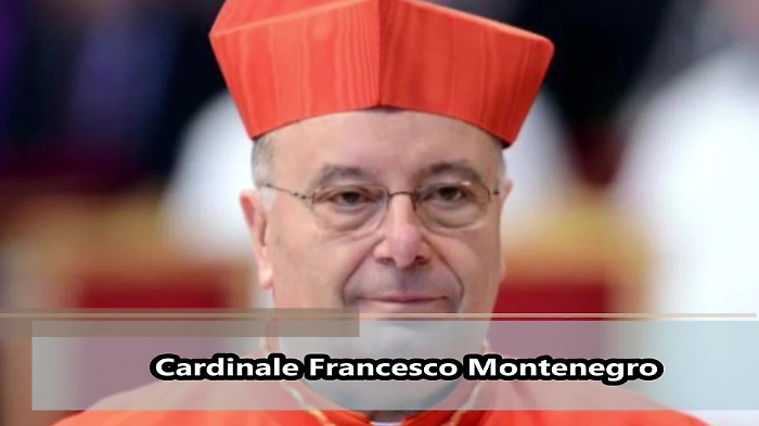 243911175-cardinalemp4_1620377555638