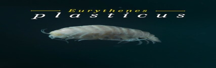 3182836-videomp4_1620389361262