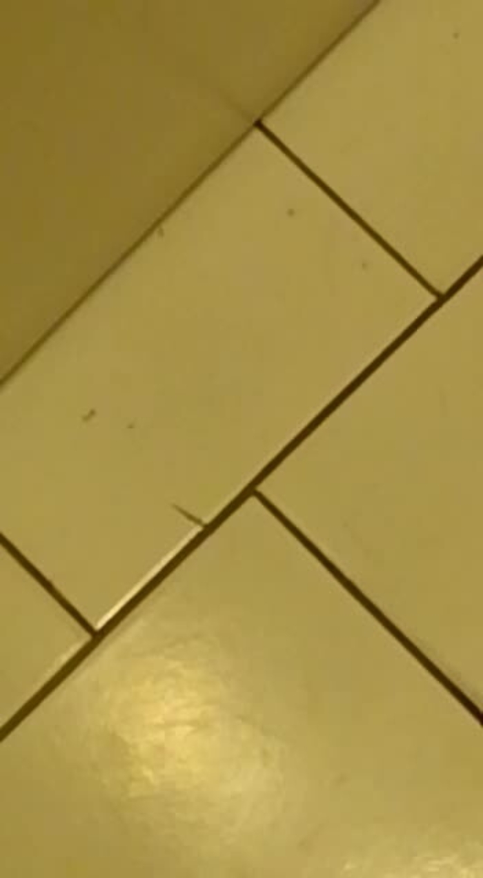 3509896-20-11-ove-videomp4_1620382033730