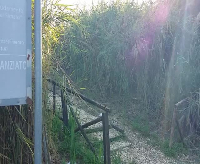 35545761-20191014_174710_19046663245822mp4_1620375674902