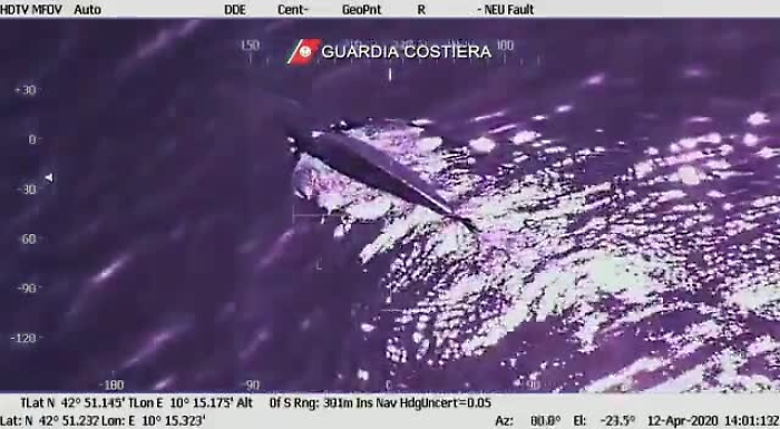 3583028-balemp4_1620377491501