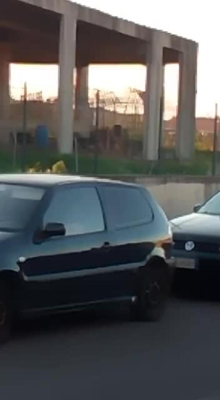 36452607-5-12-canilemp4_1620409750159