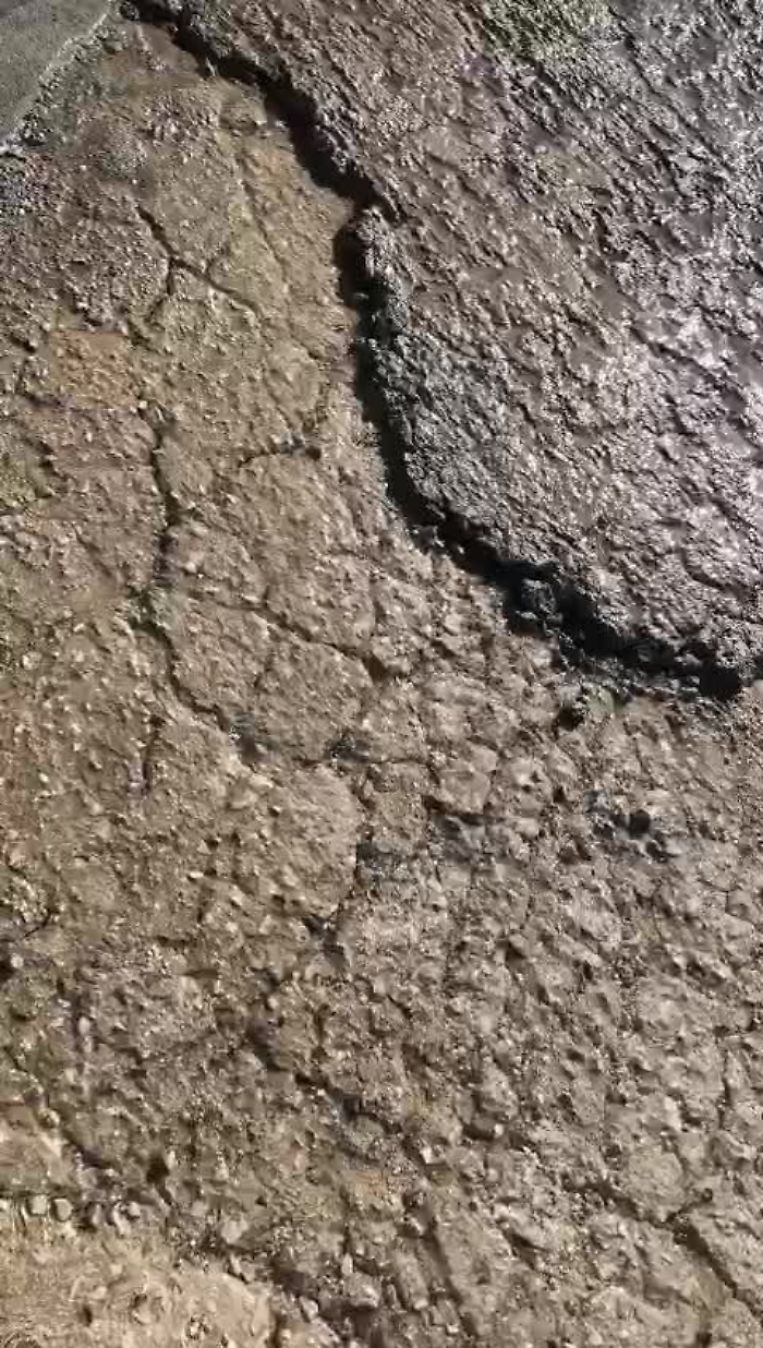 3904492-perditamp4_1620378398028