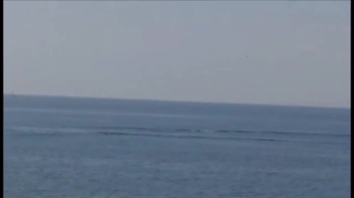 40870107-balemp4_1620408740262