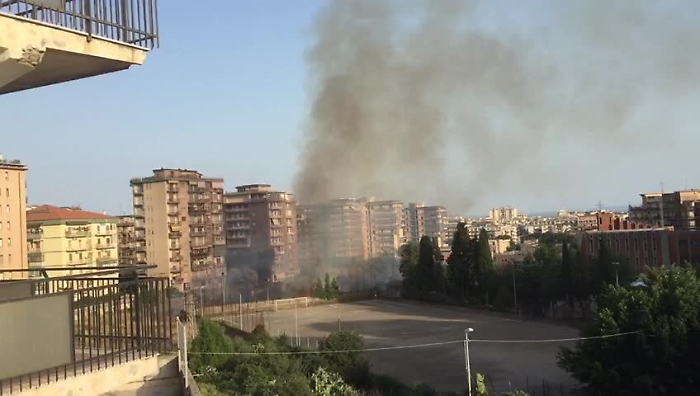 4464976-WhatsAppVideo2019-07-07at201212mp4_1620393075386