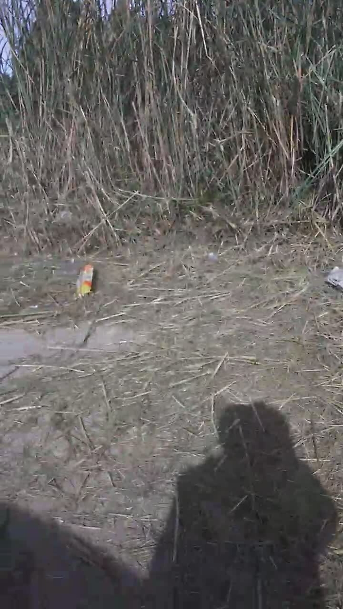 45026286-30-10-2020vaccarizzoctmp4_1620383802804