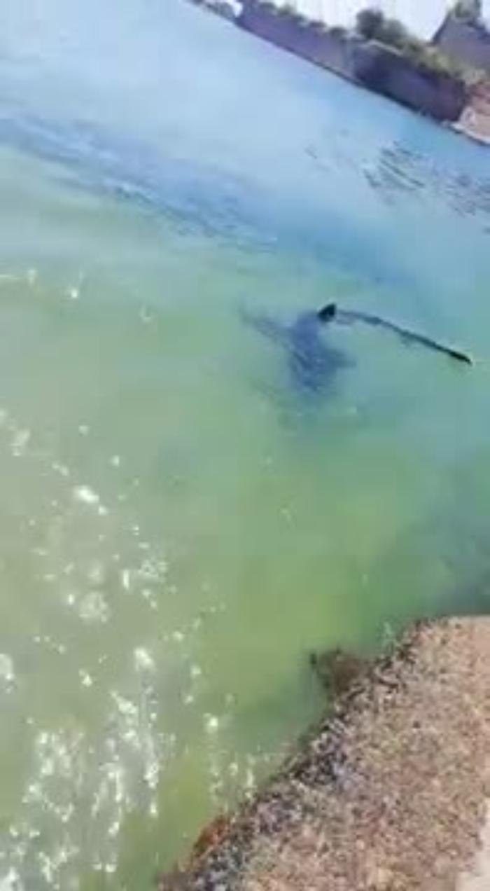 4603980-verdescamp4_1620390926932