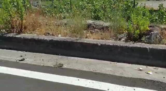 5102381-brontemp4_1620407447633