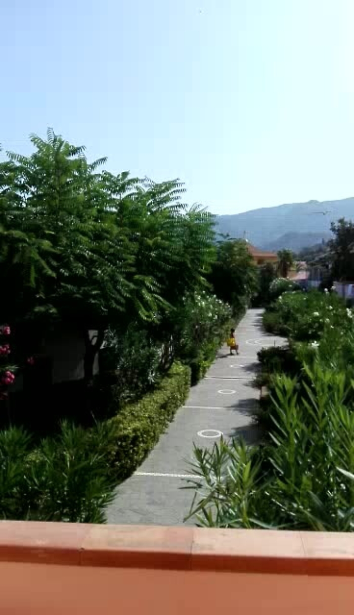 5581476-12-08-canadair-videomp4_1620382023321