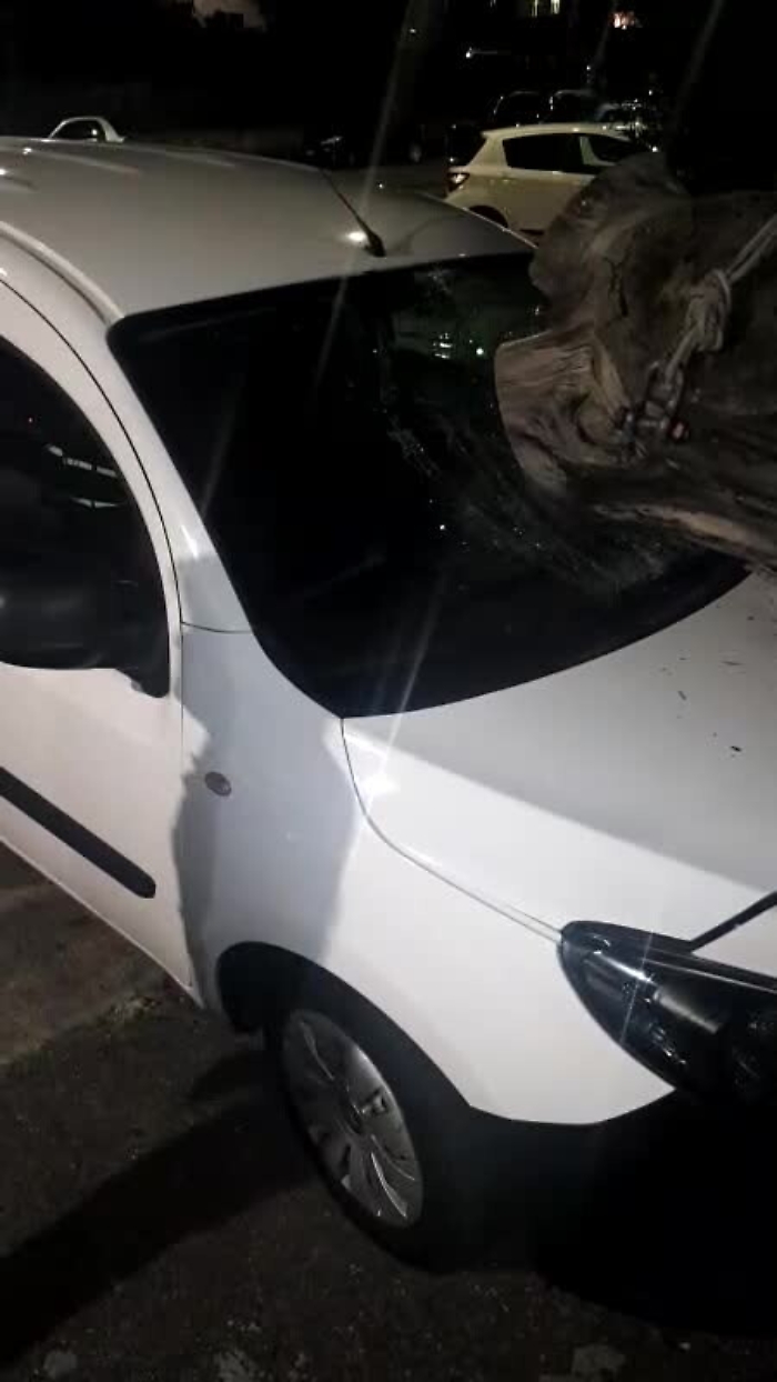 5921525-VIDEO-2019-10-31-18-21-011mp4_1620384618322