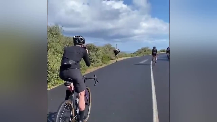 61030638-3e77b215a1b942097ae8a9b2fec5c2ebmp4_1620410664922