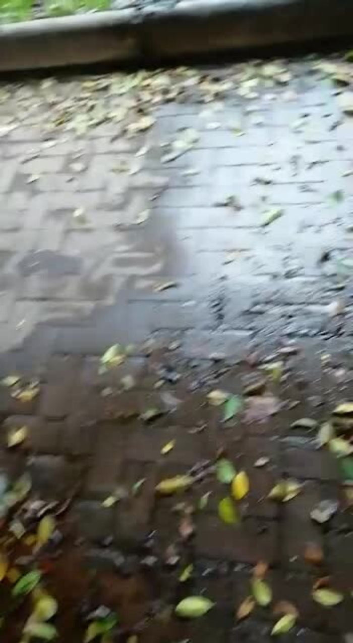 6216038-piazzaromamp4_1620404887898