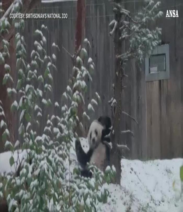 7293152-m20181119100337844mp4_1620399221742