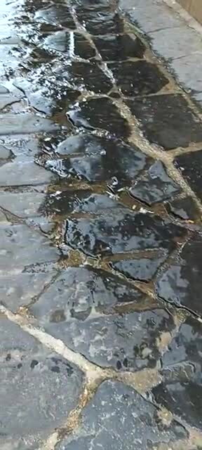 8182878-raffadamp4_1620407524291